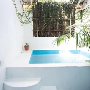 calaila-premium-plunge-pool-villas.kerala-hotels.net/